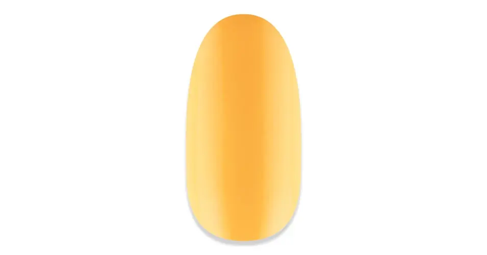 NiiZA Gel Polish 4ml - 242 Kihagyhatatlan ajánlat