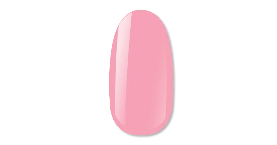 Expressz szállítás NiiZA Gel Polish 4ml - 424