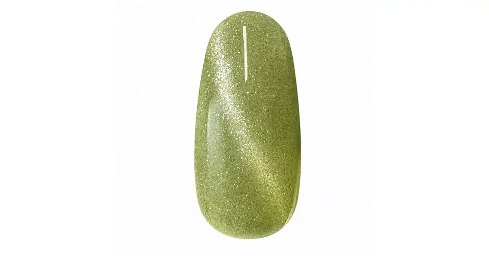 NiiZA Gel Polish 7ml - 529 Reflective cat eye Ne maradj le
