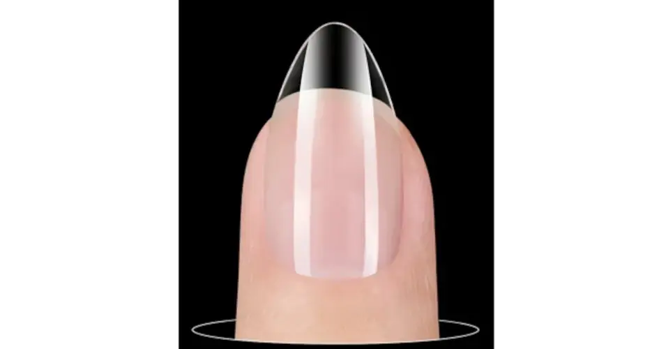 Soft Gel Tip Box - Almond - M - 240db Utolsó esély