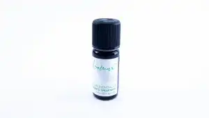 Különleges ajánlat Bio illóolaj - SPEARMINT menta - Aromax, nagykereskedés