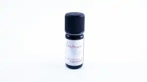 Kedvezmény Bio illóolaj - FAHÉJ - Aromax, nagykereskedés