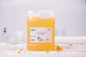 Masszázsolaj GRAPEFRUITTAL 5 L Kanu Professional,... Vedd meg online