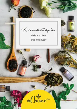 Legnépszerűbb Tiszta illóolajok útmutató - Aromaterápia A-tól Zen-ig,...