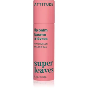 Vedd meg most AttitudeSuper Leaves Lip Balm ajakbalzsam a dinnye illatával