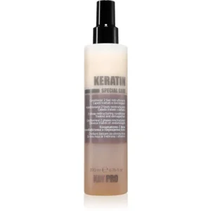 KayproKeratin 2 Phase Restructiring Conditioner leöblítést nem igénylő ápolás a könnyű kifésülésért Biztonságos fizetés