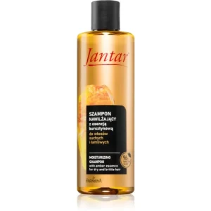 Bestseller FarmonaJantar Amber Essence hidratáló sampon száraz hajra