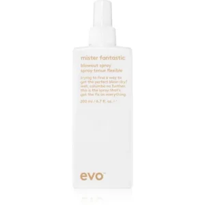 Azonnali szállítás EVOMister Fantastic Blowout Spray védőspray a haj gyors kifújásához