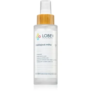 LobeySkin Care Obličejová Mlha bőr tonizáló permet Árcsökkenés