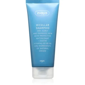 ZiajaAntioxidant Care Micellar Shampoo tisztító sampon Legkelendőbb